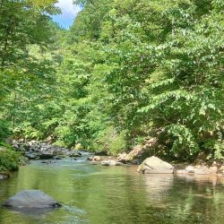 夏のアマゴは難しい